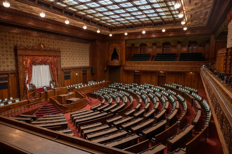 Democracy's Missing Immune System: When No One Remains to Challenge Power